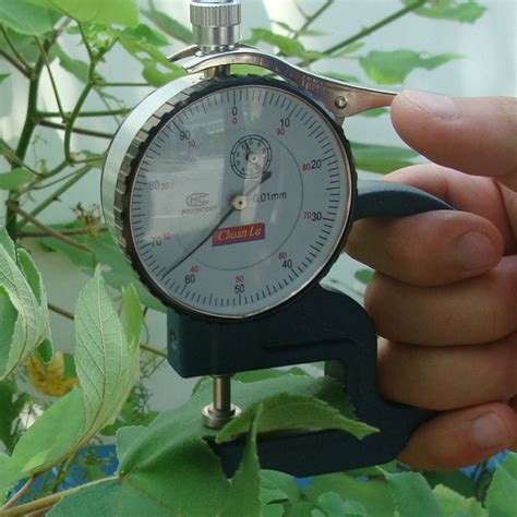 instrument to measure leaf thickness|thickness of a leaf.